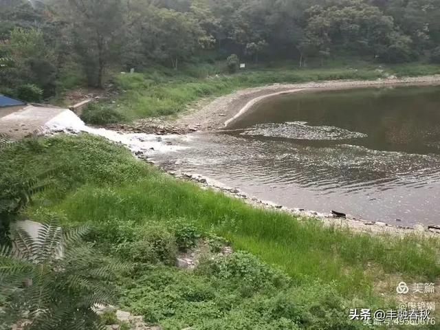 邂逅北京房山牛口峪湿地公园：工业废水的生态蝶变｜ 申艳娟