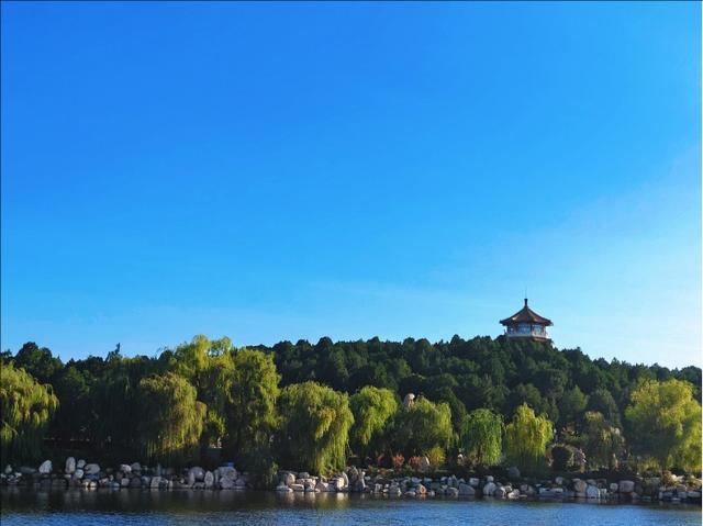 彩林映湖光 泰山虎山公园初冬画卷引客来