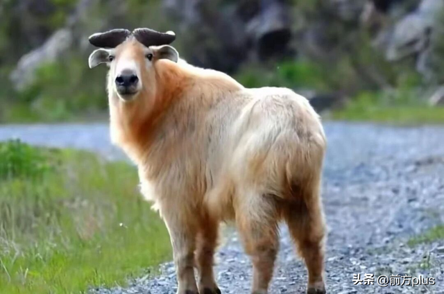 半价游西安！冬日景区福利上线