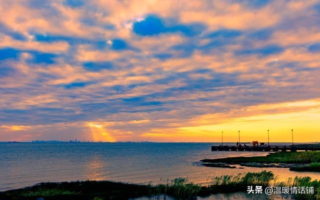 你不是忘不掉，只是还没学会这样放手！