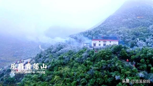 云岩青莲记