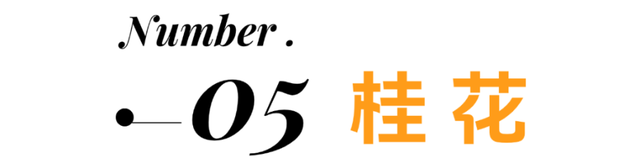 秋日第一波花海！上线！