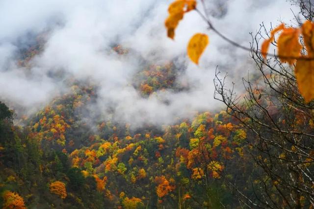 太洋公路已通车！去黄柏塬赏秋现在就出发！