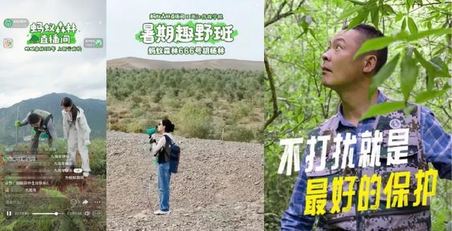 看见直播间里种树，年轻人就走不动道了