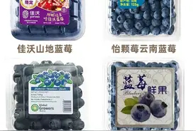 常见蓝莓的区别和口感，品种，味道，价格图片