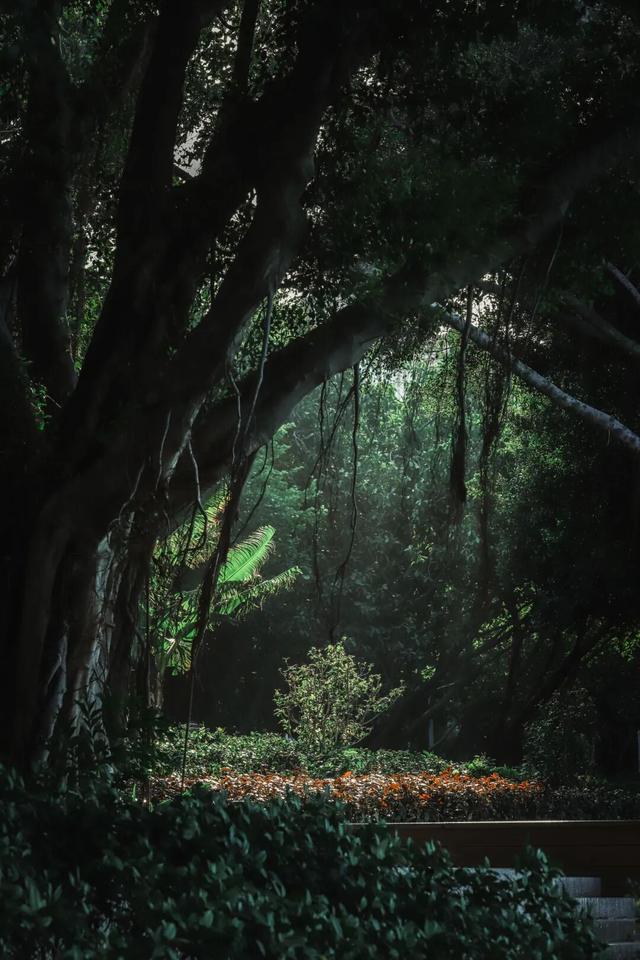 冬日暖阳里，来丰泽这儿享受惬意时光……