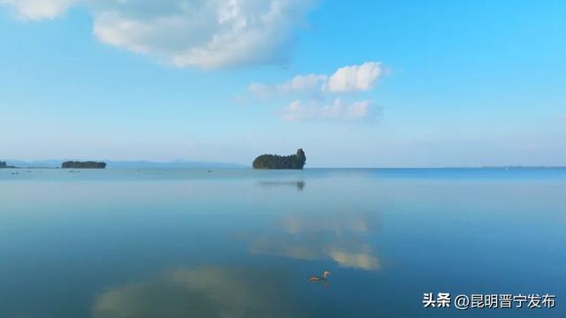 滇池南岸：水杉染秋意 湿地如画卷