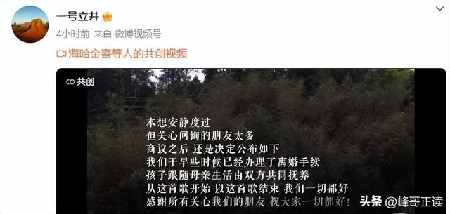 李亚鹏官宣离婚不到24小时	，令人恶心的一幕发生了，汪峰也遭殃