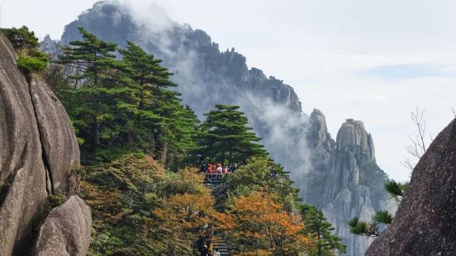 紧急播报：黄山秋色已达峰值，100%颜值在线，速来！| 皖美冬日 | 第十五届安徽国际文化旅游节
