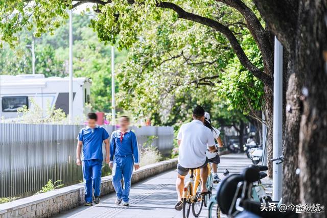 深圳这路承载几代人悲欢！2.3公里藏半生，老蛇口人为何念念不忘