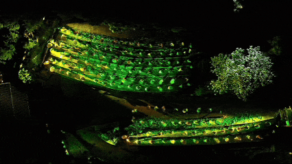 快来抱抱~ | Welcome to 疯狂·武夷山·动物城