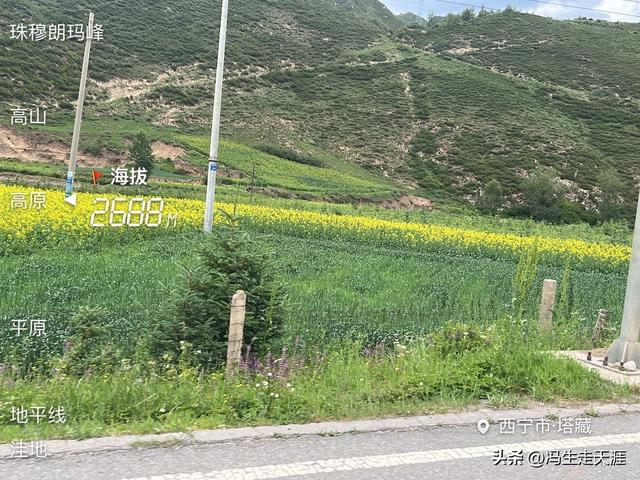 青海省各县城及部分山口、湖泊海拔高度