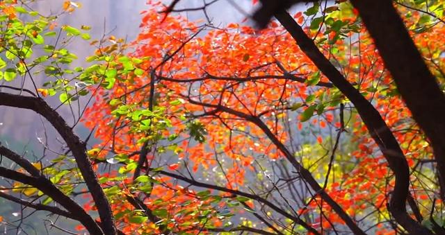 “奇山秀水·西游寻踪”驻马店市融媒看嵖岈活动成功举