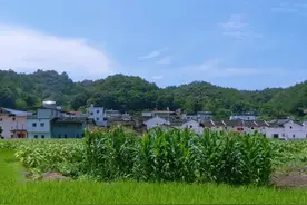 今日湖南农村现状，谈一谈这次回老家的几点感受图片