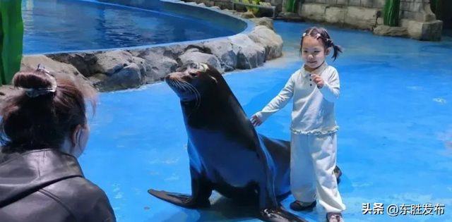 速来！半价特惠！