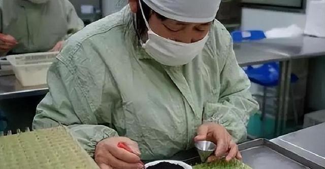 中国300年的绝密药丸，无人问津成弃宝，日本却靠它赚得盆满钵满