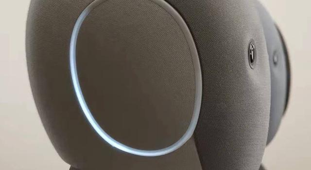 真·首个进家的人形机器人来了！两万美元，开启预定