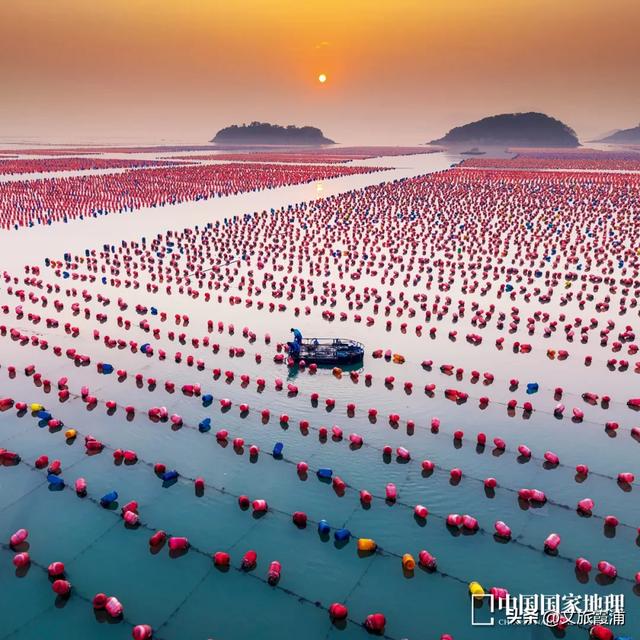 《中国国家地理》盛赞！霞浦，这片海上田园藏不住了