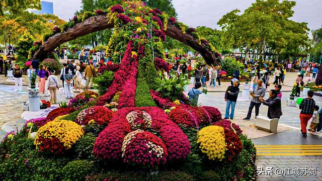 秋韵菊香、沙湖寻美—— 沙湖公园武汉第42届菊花展掠影