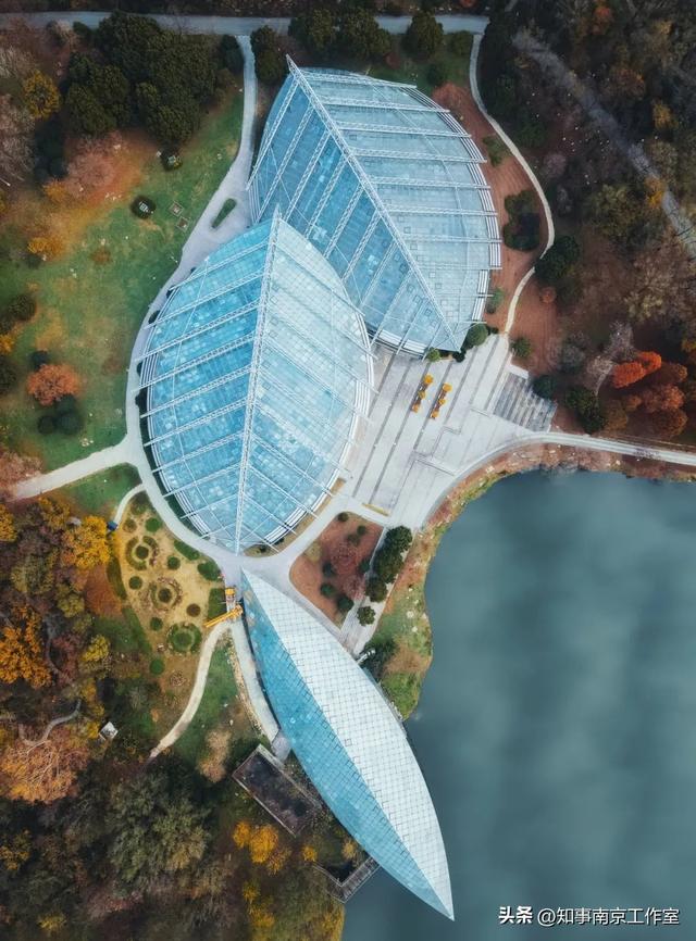 51张照片告诉你，南京的秋天有多美！