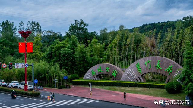 你好 东坡 ！| 滨江路：岷江之畔，一场与城市的诗意对话