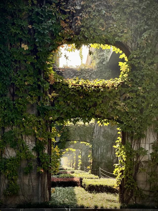 今日大雪 | 打卡这里,定格冬日专属美照