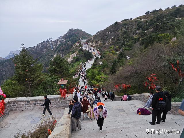 徒步登泰山之三——岱顶风光奇秀绝天下