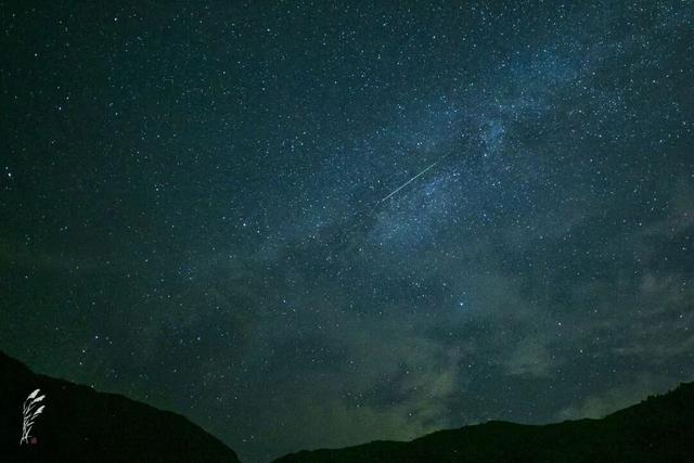 听山泉、看星空……这里的“森林疗愈”，比助眠药管用！
