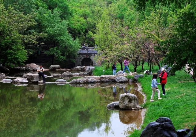 秋老虎发威？照金 19℃超凉爽，带娃抓住暑假小尾巴！