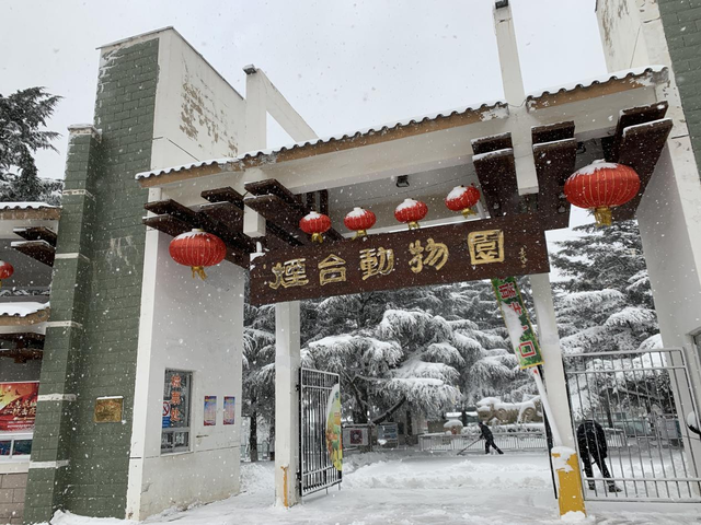 “烟台城市阳台”大变身 唤醒烟台人记忆深处的城市DNA