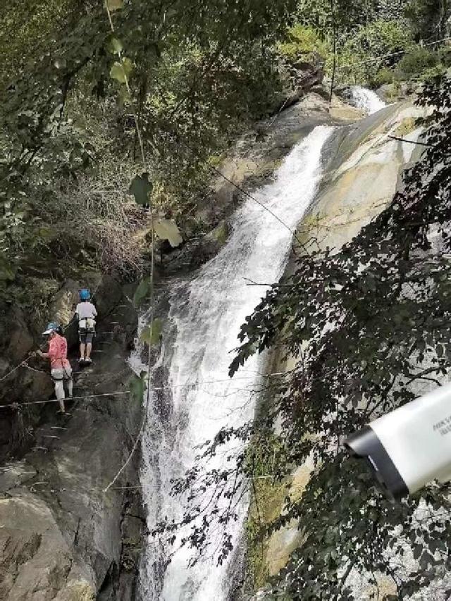 追梦老顽童戴树民：有一个地方叫“湖洋”