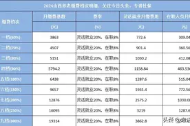 2024年缴费档次明细表，以山西省、广东省为例图片