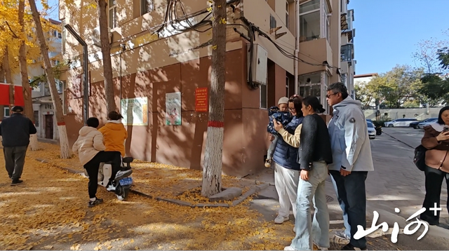 “银杏巷”成“秋日限定”打卡地 太原老军营小区深处藏满城温柔