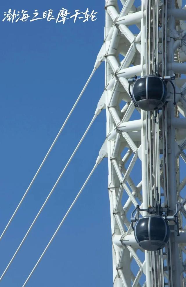 奔“区”潍坊！“趣”游滨海 欢乐无限！