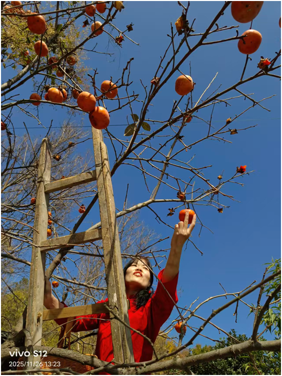 游历雅记：团风神鹰生态休闲山庄游历记