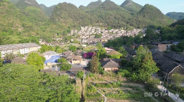 万亩梅花暗香浮动，荔波向您发出春天的邀约