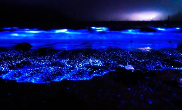 福州4天3晚深度游攻略（含平潭岛蓝眼泪追泪指南）