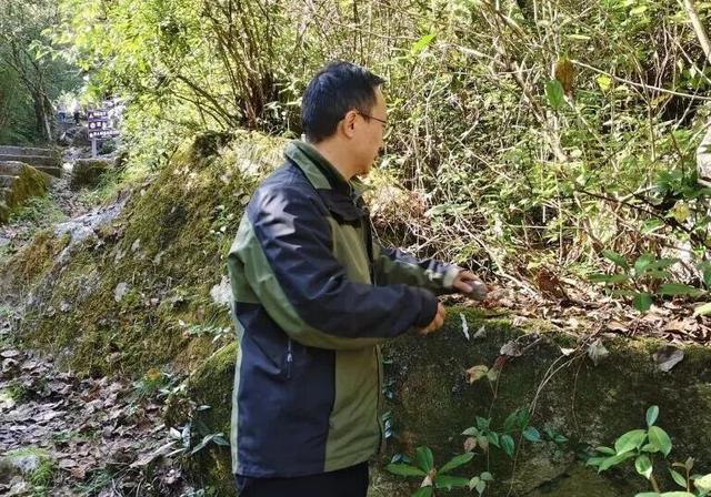 大理收到一封道歉信和两块“石头”