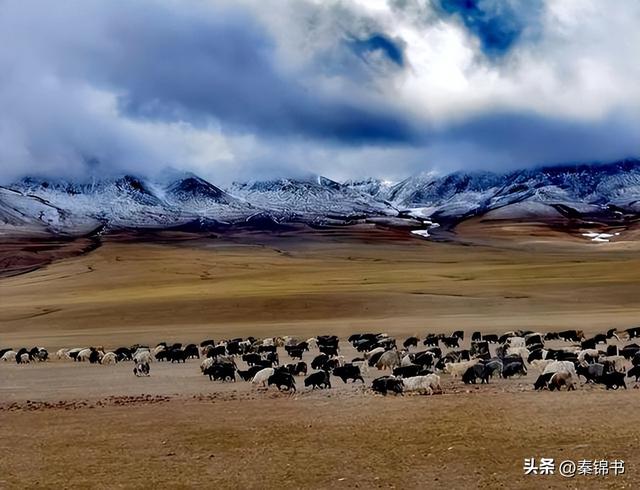 想拿“南亚”碰瓷西藏？中国直接亮出底牌，我们绝对不答应!