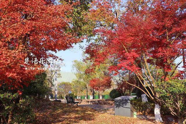 浙江宁波的绝美风景，犹如多彩的田园风情画，拍照与休闲都是一绝