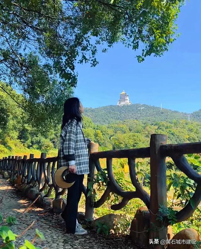 秋日遛娃天花板!黄石这里的百日菊花海美翻了