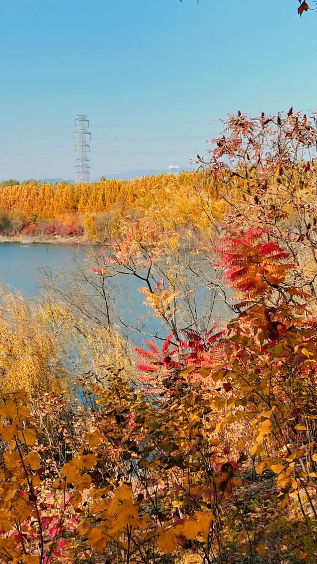 18公里步道免费开放！西五环边的这个公园迎来最佳观赏期——