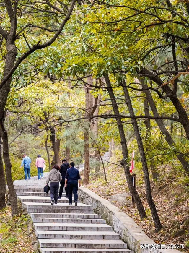 【乐游烟台】正式宣布!下一轮降温前,烟台人该……