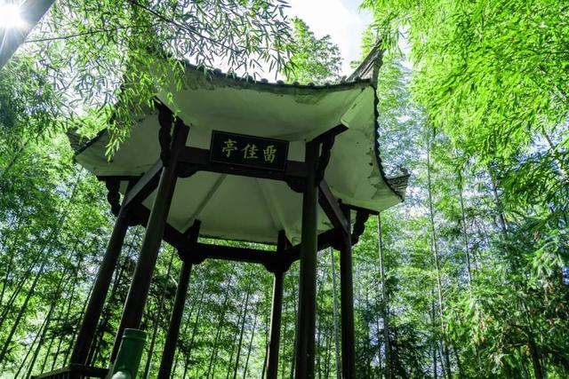 黟川秋叙·徒步沐泉寻画境——3天2夜康养之旅 | 皖美冬日 | 第十五届安徽国际文化旅游节