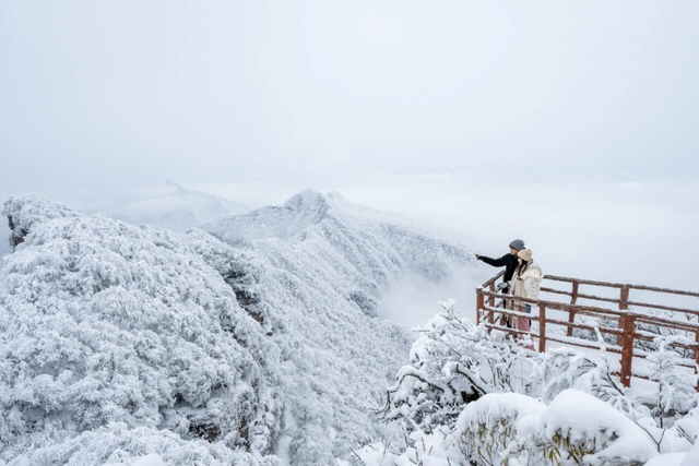 成都⇌巴中快巴仅需69元🤝冬天看雪就坐这条线！