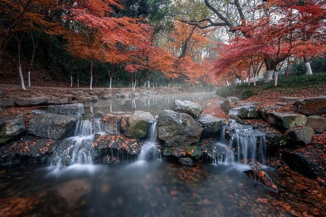 杭州秋日私藏地图：5处小众秘境，诠释着江南之秋独特韵味