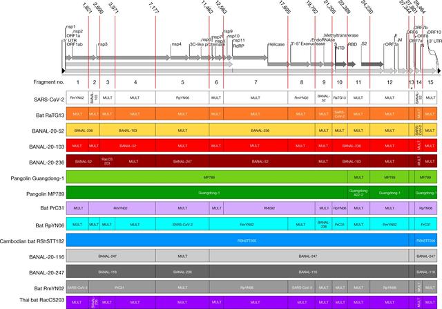 2025年即将结束，但10条不附和大众情感的科学“真理”依然成立