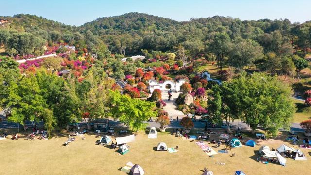 广州近郊新体验：马岭观花植物园打造“花海+萌宠”一站式畅玩地