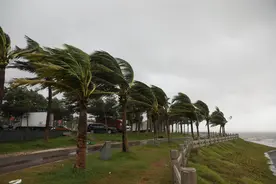 航母能抗得住几级台风？事实你可能不信，但真的不夸张图片