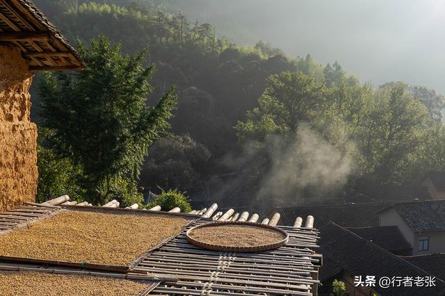 走遍浙江古村落，为了看一棵枯树，我骑行一千公里来了两趟松阳